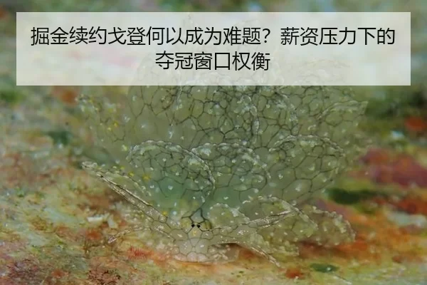 掘金续约戈登何以成为难题？薪资压力下的夺冠窗口权衡